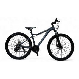 Велосипед Fort First 26 MD 14 grey
