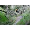 Джерсі TLD RUCKUS LS RIDE TEE; BURN OUT [MIST] L