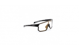 Окуляри LYNX Bismarck PH B, matt black/#1 smoke photochromic with gold revo