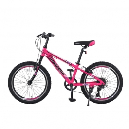 Велосипед Mascotte Spark-R 20 V pink