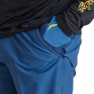 Штаны TLD SKYLINE PANT Mono [Indigo] 34