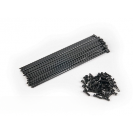 Спиці Eclat STAINLESS нержавійка PG з чорними ніпелями, 182мм, 40шт, чорні