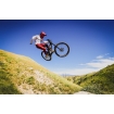 Штаны TLD Ruckus Cargo Pant Mono [Fatigue] 32