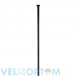 Шприхи DT Swiss Сhampion Straight pull 2.0mm x 304mm Black (Чорний)