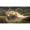 Мото джерсі TLD SE PRO AIR JERSEY; SWARM [BLACK / SMOKE] S